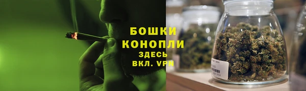 дживик Осташков