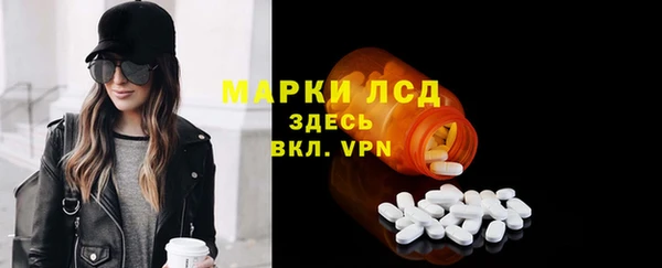 трава Осинники