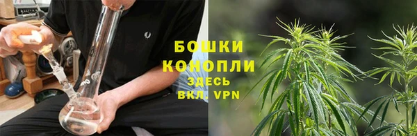 дживик Осташков